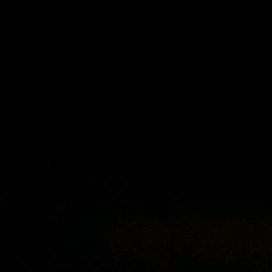 Meet your Posher, Damien